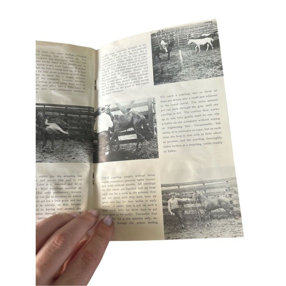 AQHA Training Riding Horses Booklet Unisex OS Blue Vintage Western Guide - Picture 2 of 11